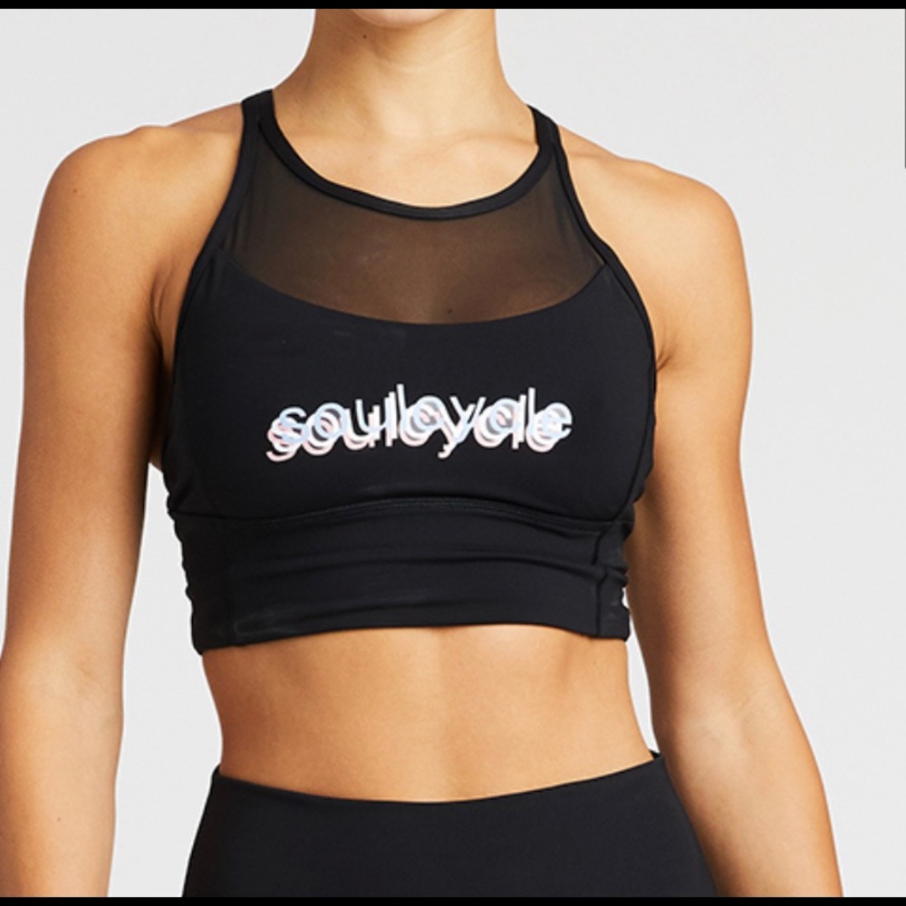 Lululemon Clip in Long Sports Bra